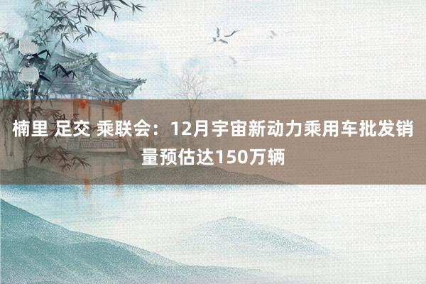 楠里 足交 乘联会：12月宇宙新动力乘用车批发销量预估达150万辆