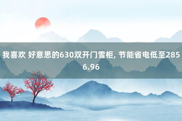 我喜欢 好意思的630双开门雪柜， 节能省电低至2856.96