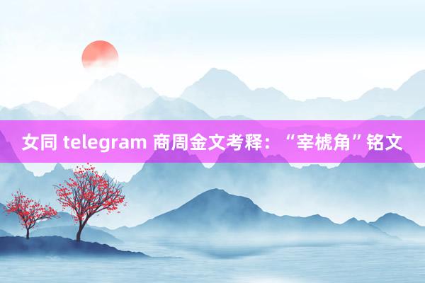 女同 telegram 商周金文考释：“宰椃角”铭文