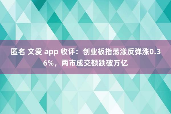 匿名 文爱 app 收评：创业板指荡漾反弹涨0.36%，两市成交额跌破万亿