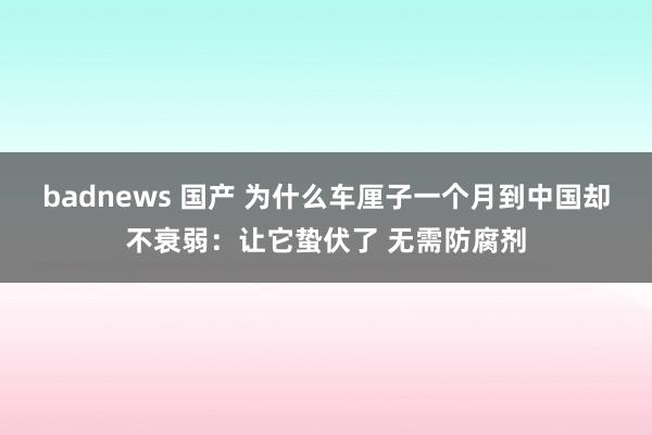 badnews 国产 为什么车厘子一个月到中国却不衰弱：让它蛰伏了 无需防腐剂