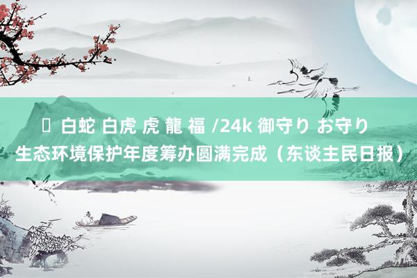 ✨白蛇 白虎 虎 龍 福 /24k 御守り お守り 生态环境保护年度筹办圆满完成（东谈主民日报）